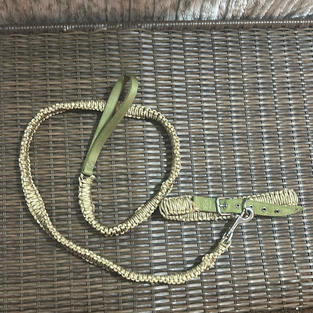 Aspen pet pair cord dog leash 3/4” x 5” and collar